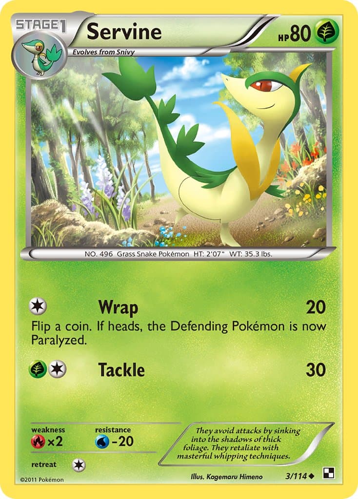 Servine — Black & White