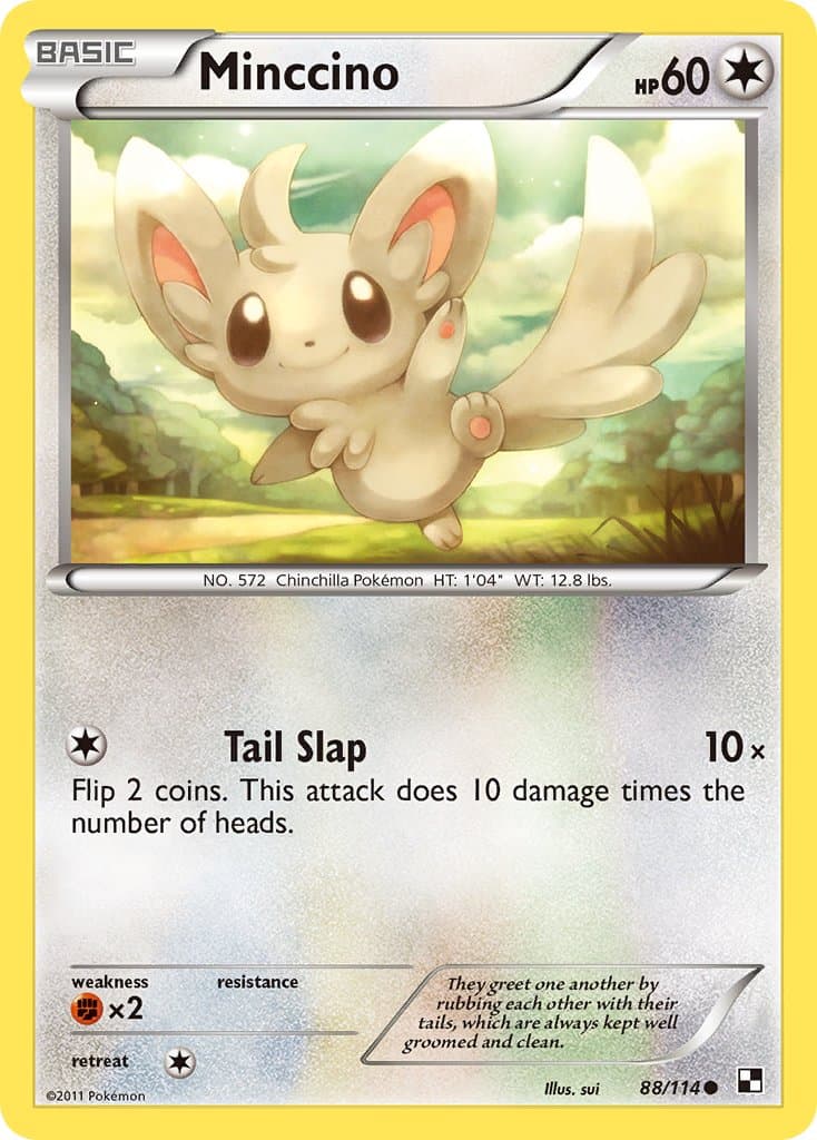 Minccino — Black & White Pokémon card