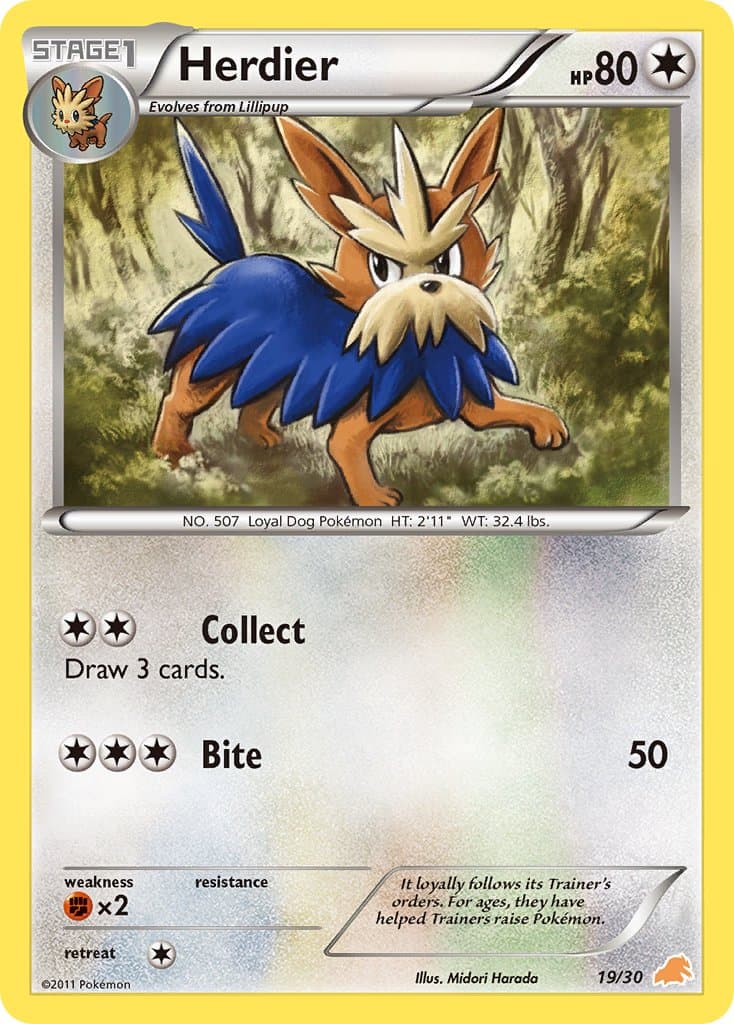 Herdier — Black White Trainer Kit Excadrill