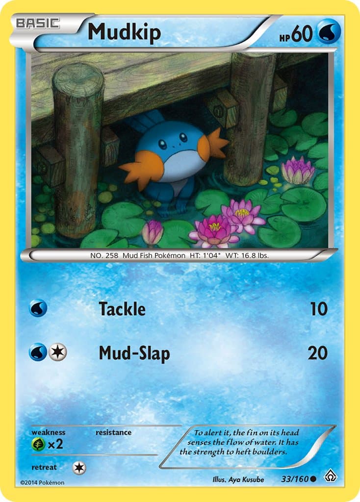 Mudkip — Primal Clash