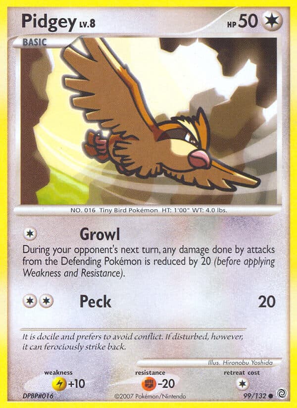 Pidgey — Secret Wonders