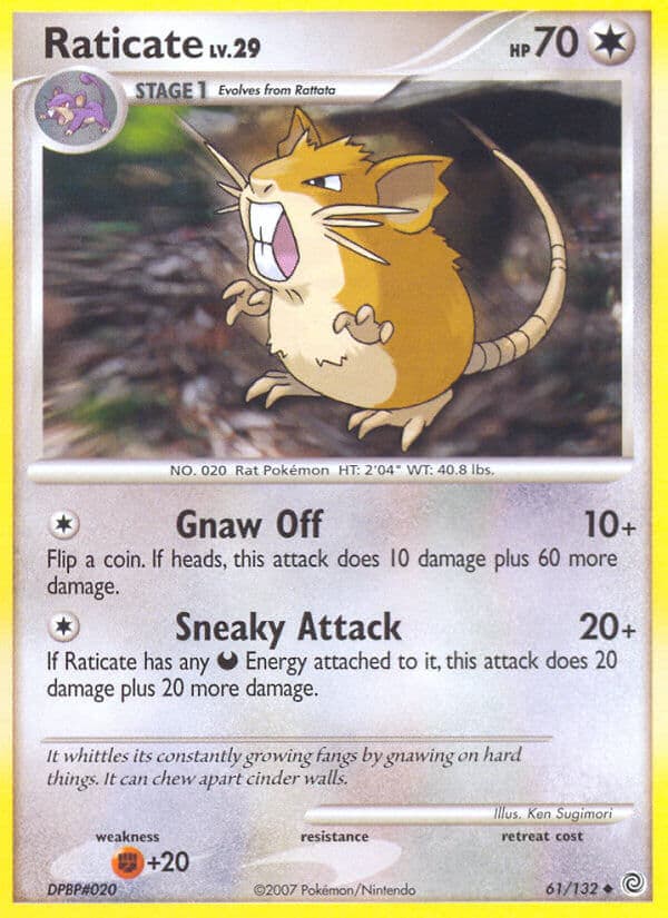 Raticate — Secret Wonders