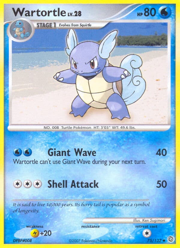 Wartortle — Secret Wonders