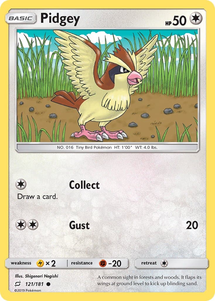 Pidgey — Team Up