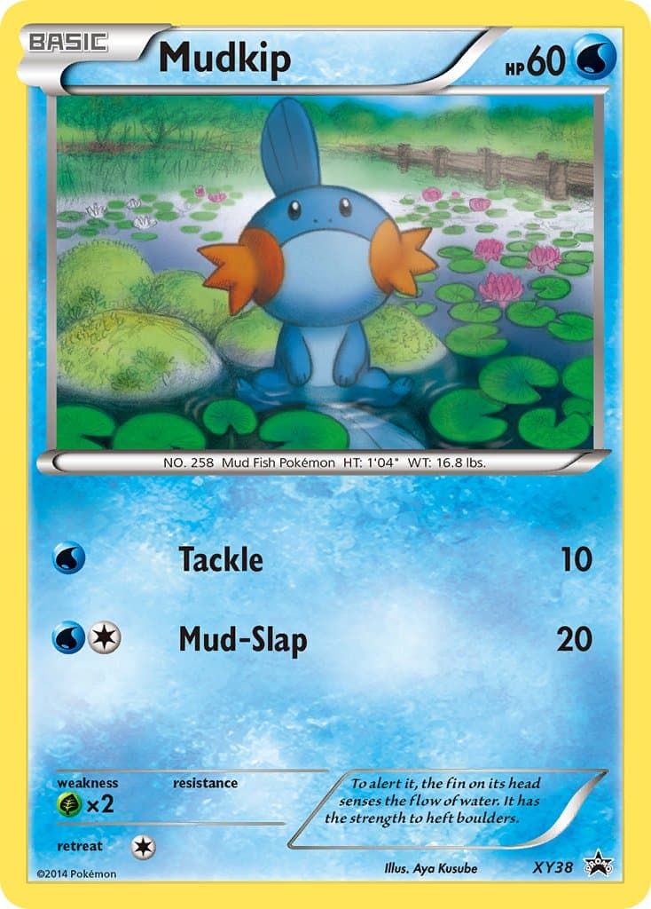 Mudkip — Xy Promos