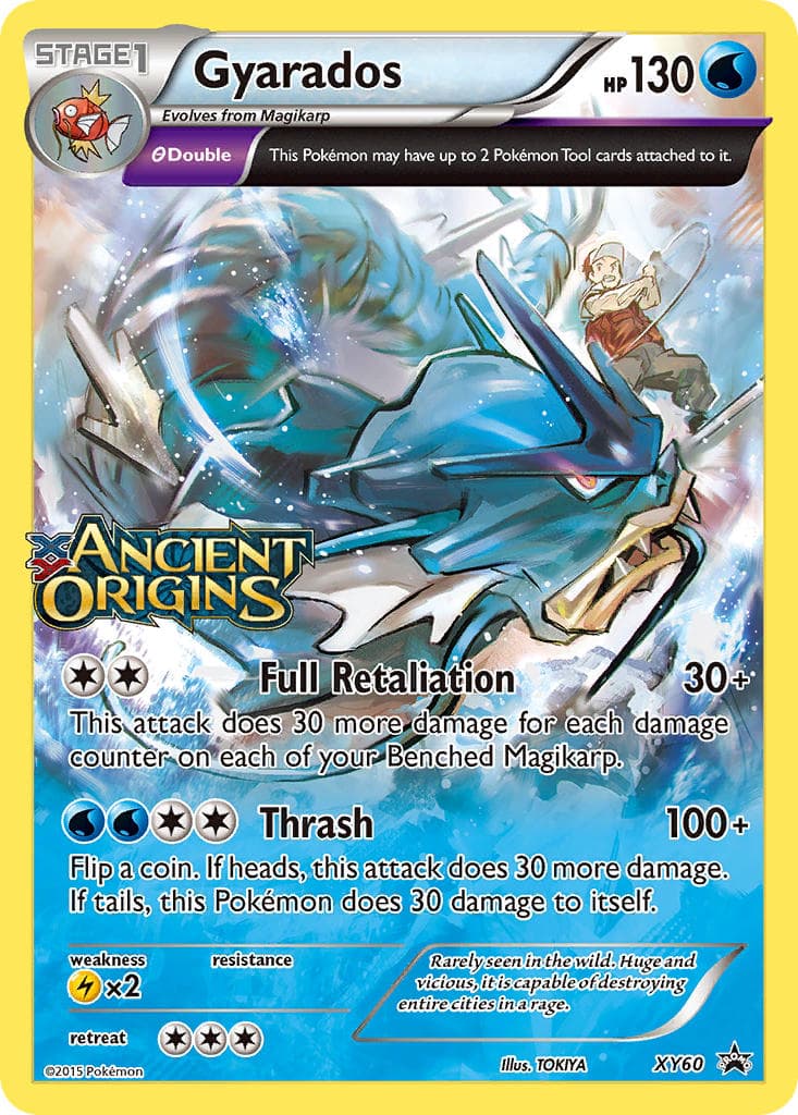 Card 060 — Xy Promos
