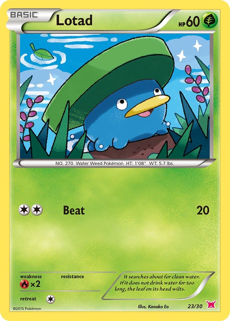 Lotad — Xy Trainer Kit Latias