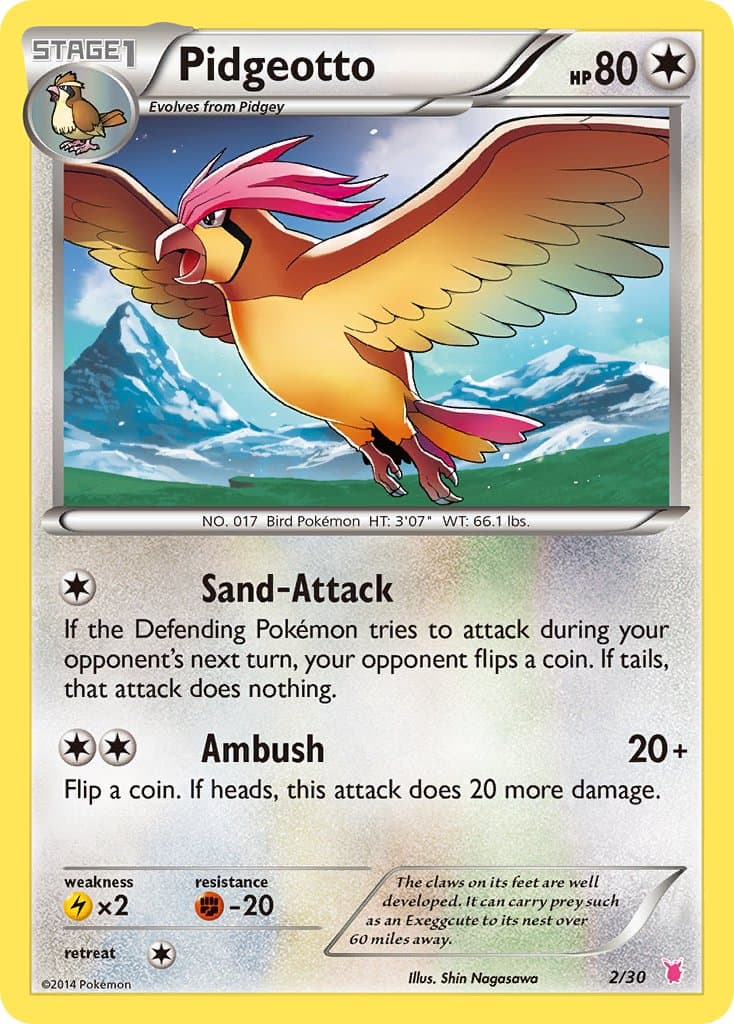 Pidgeotto — Xy Trainer Kit Wigglytuff