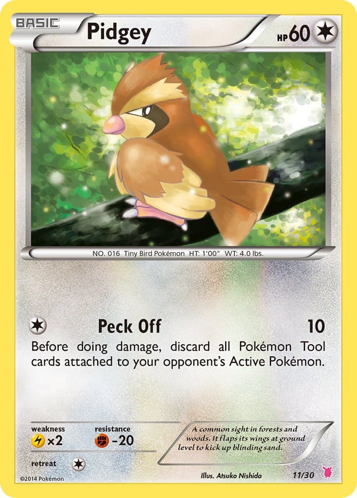 Pidgey — Xy Trainer Kit Wigglytuff