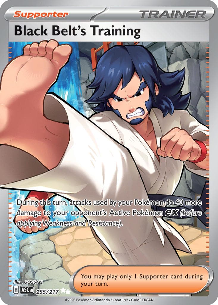 Card 255 — Ascended Heroes Pokémon card