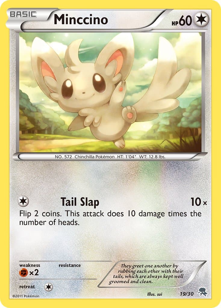 Minccino — Black White Trainer Kit Zoroark Pokémon card