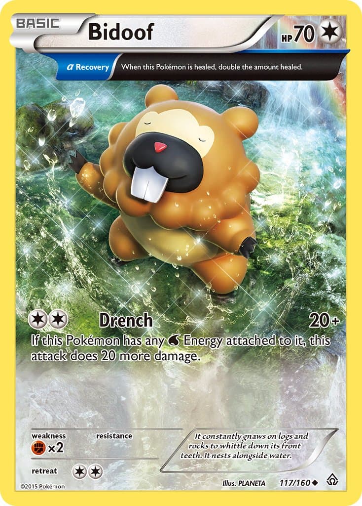 Bidoof — Primal Clash