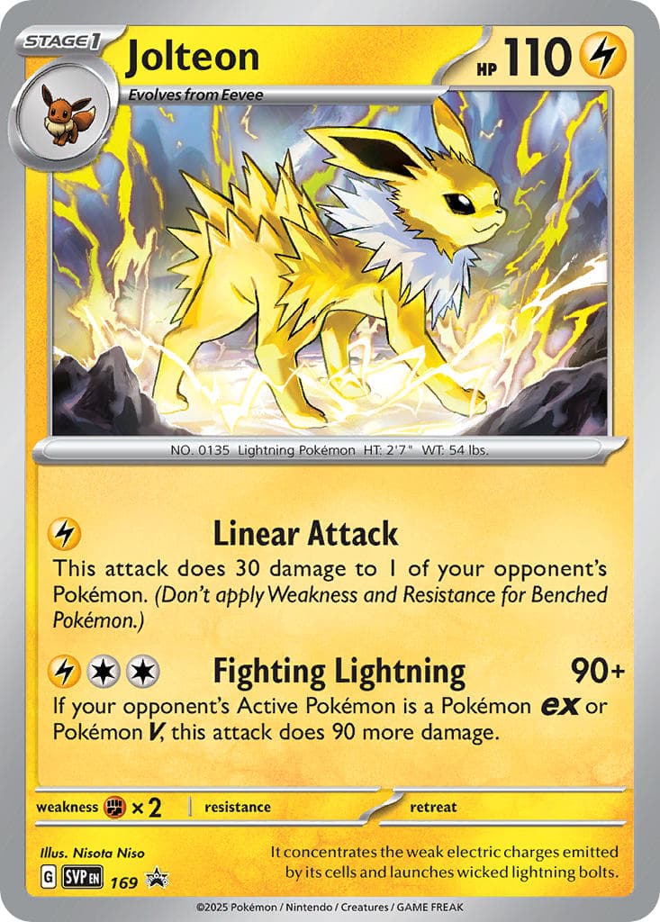 Card 169 — Scarlet Violet Promos Pokémon card