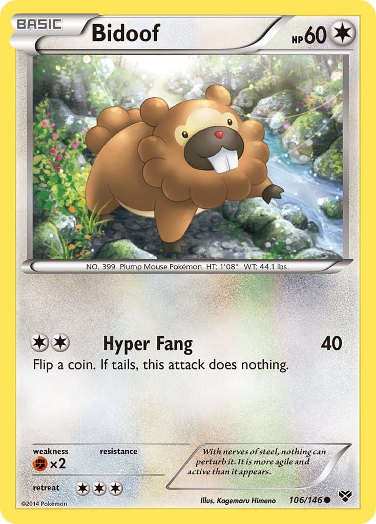Bidoof — XY