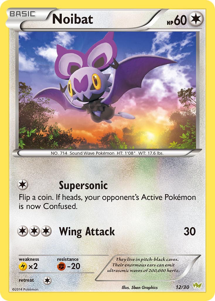 Noibat — Xy Trainer Kit Noivern